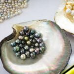 Pearl Farming and Oysters