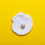 Sea shell with pearl