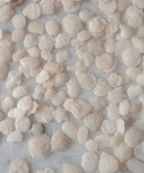 WhatsApp Image 2020-11-03 at 6.57.58 PM